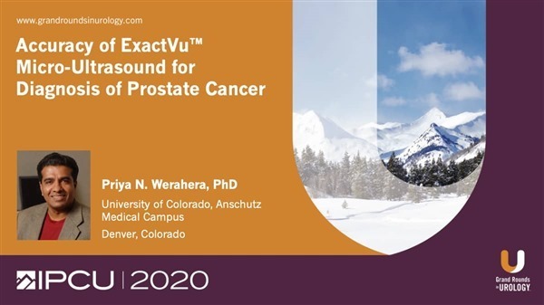 Accuracy of ExactVu™ Micro-Ultrasound for Diagnosis of Prostate Cancer